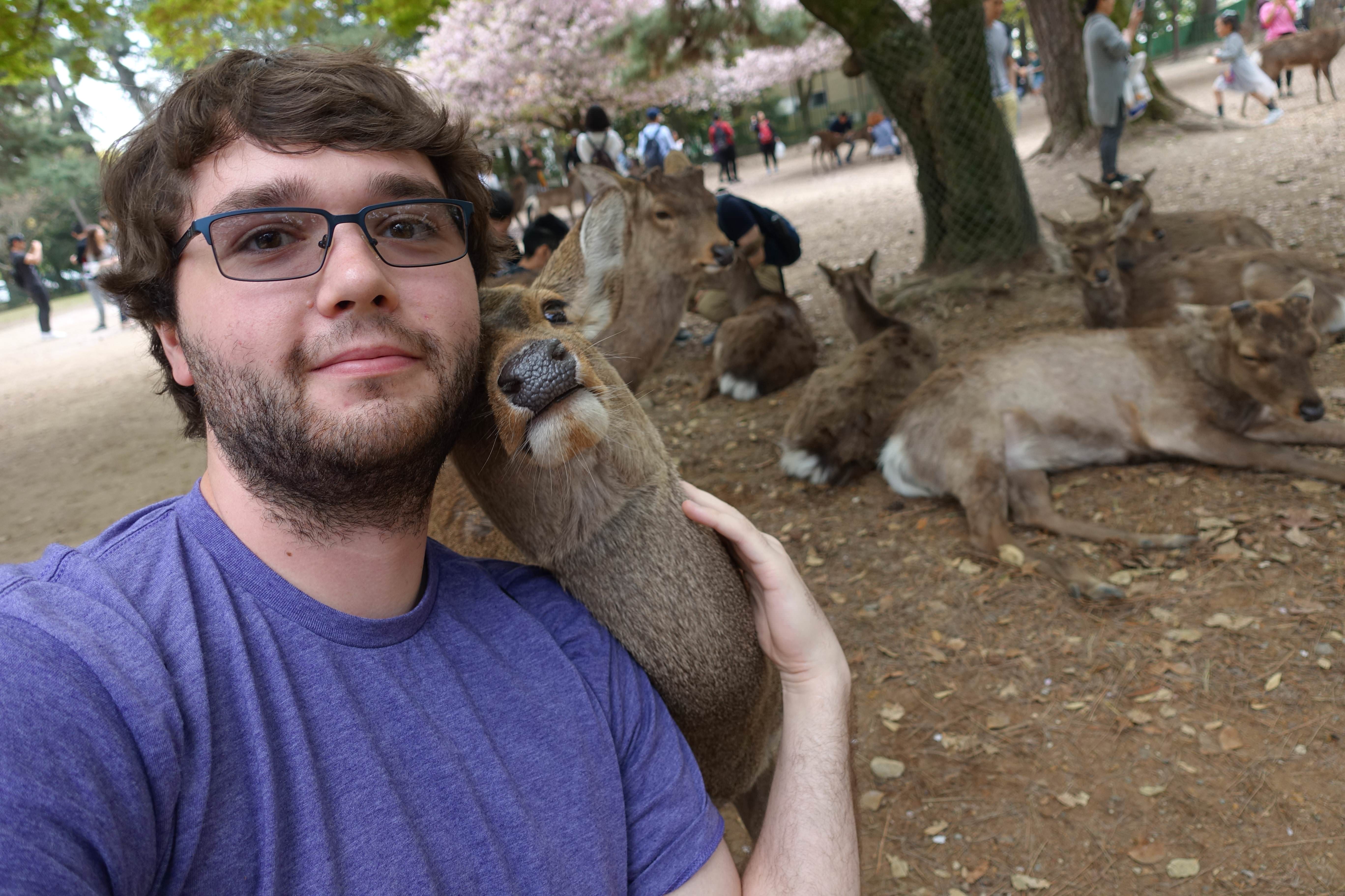 海外「羨ましい！」 奈良公園の鹿と友達になった外国人がツーショットに成功 海外の反応
