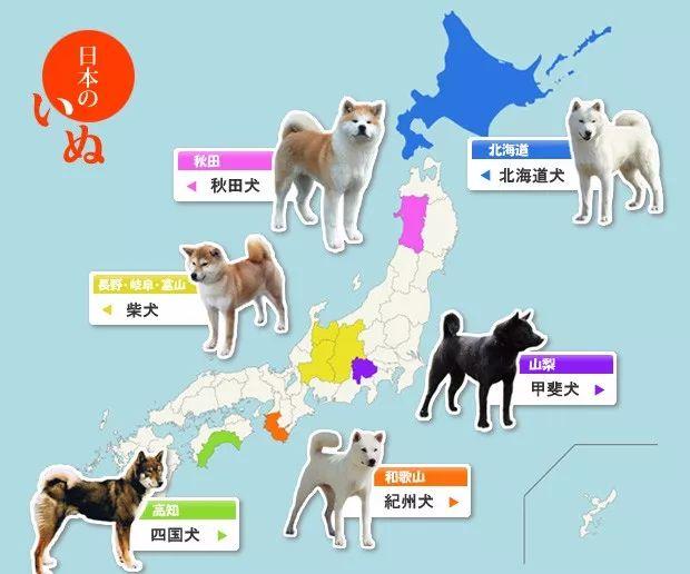 海外 前々からこんな日本地図が欲しかった 日本の犬の原産地を紹介する地図に外国人が興味津々 海外の反応